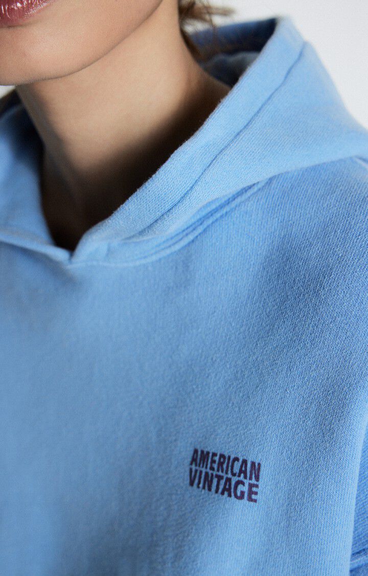 American Vintage Izubird Hoodie Vintage Celestial