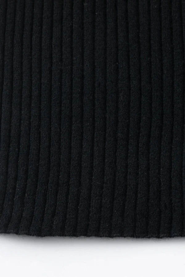 Aleger Cashmere Blend N31 Skinny Rib Crew Black
