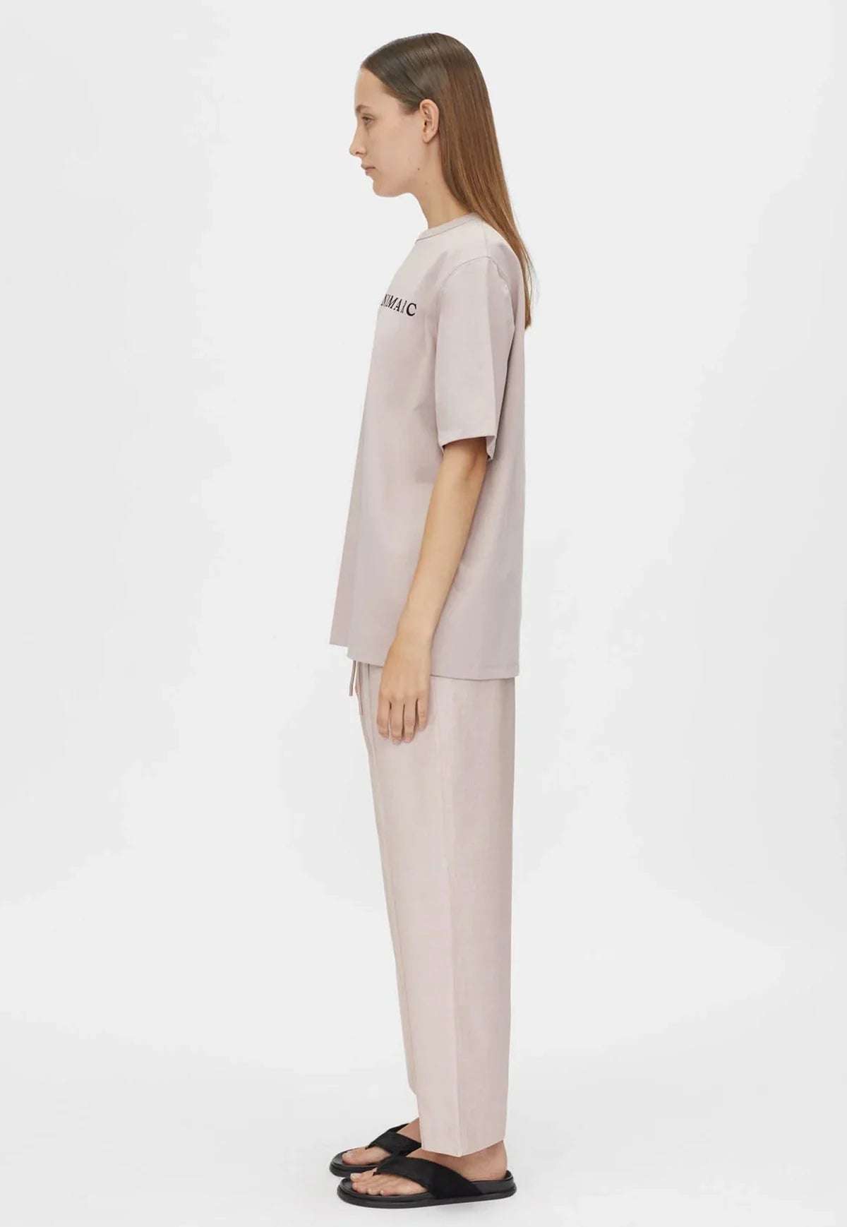 C&M Capella Logo Tee Ash Lilac